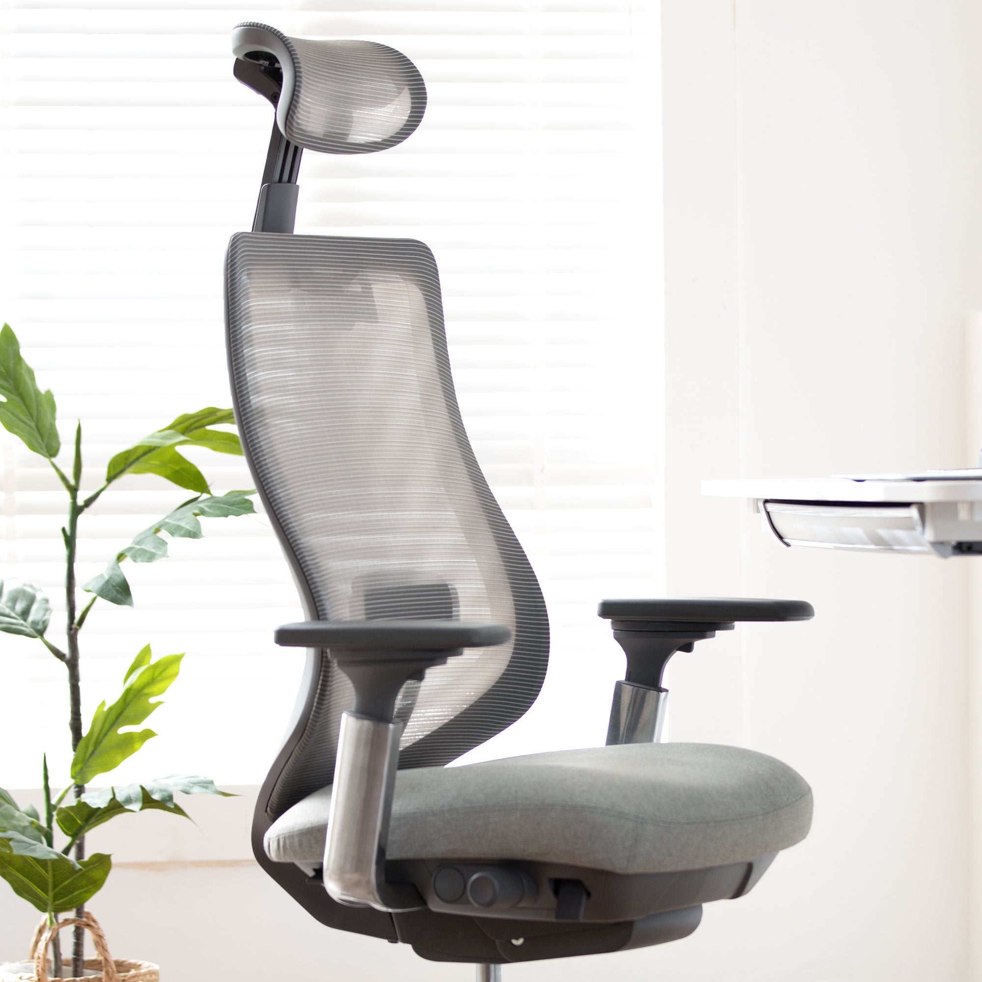 COLAMY ATLAS Executive Ergonomic Office Chair