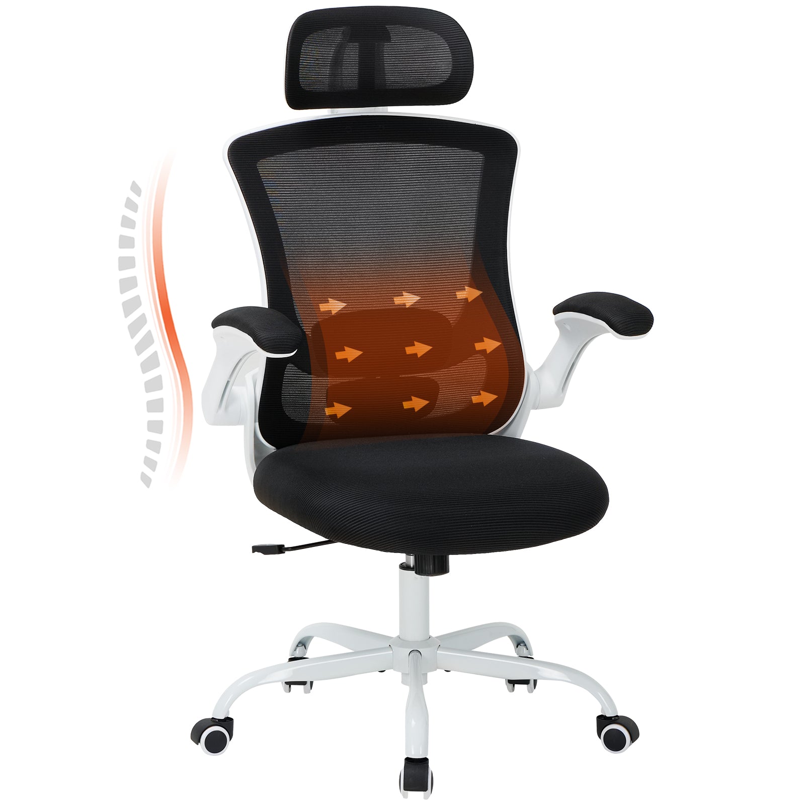 COLAMY Ergonomic Mesh Office Chair with Lumbar Support Model.9050 Cap.125kg