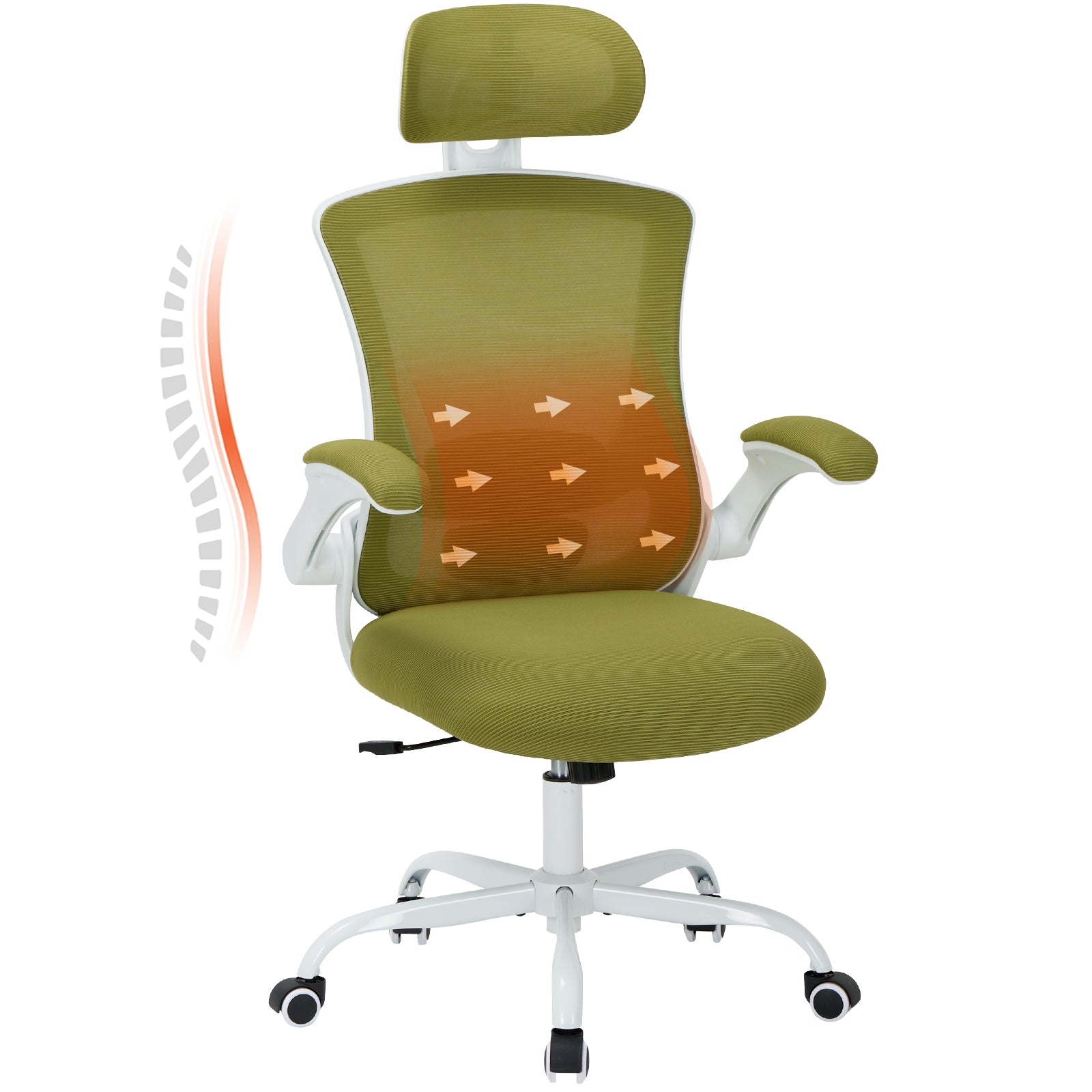 COLAMY Ergonomic Mesh Office Chair with Lumbar Support Model.9050 Cap.125kg