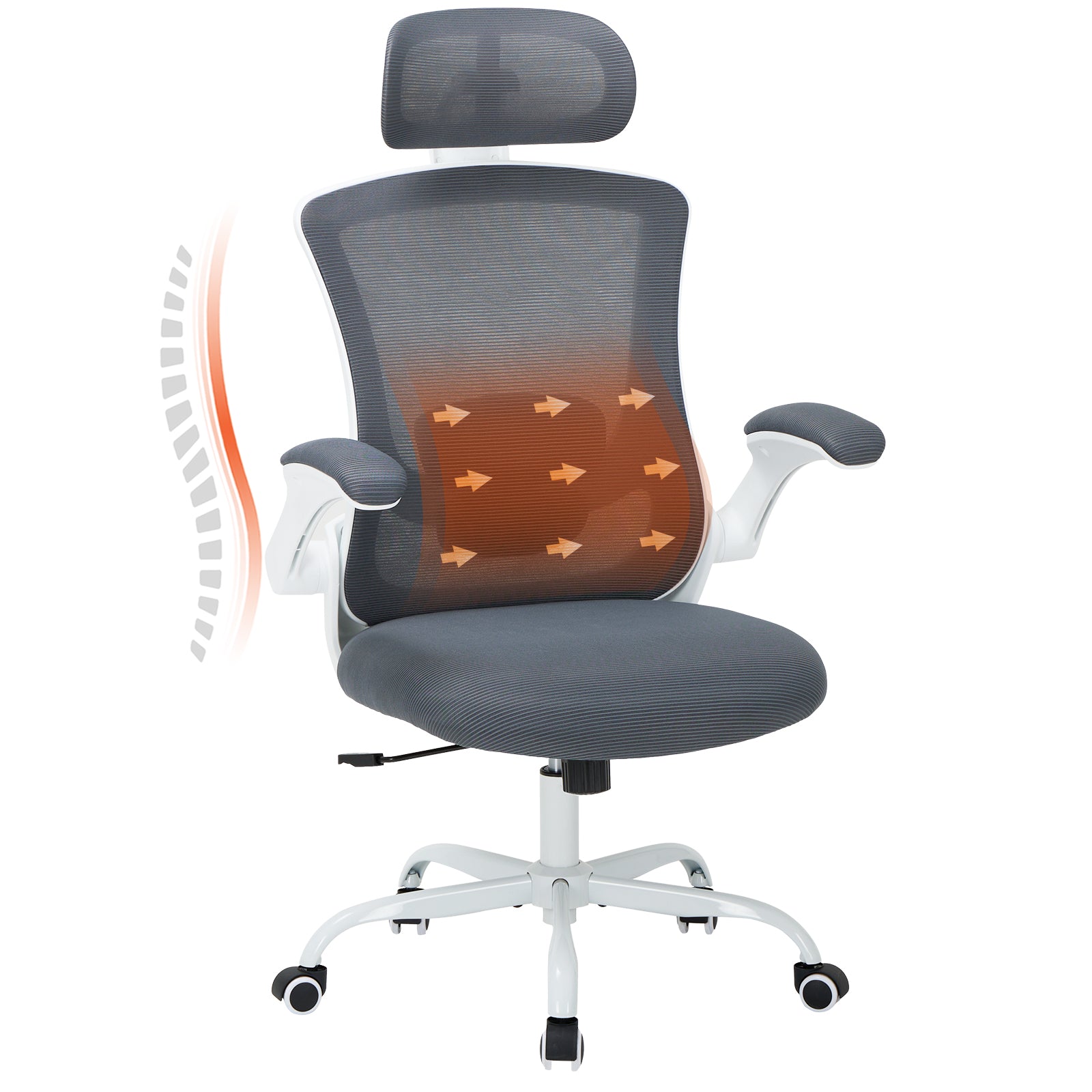 COLAMY Ergonomic Mesh Office Chair with Lumbar Support Model.9050 Cap.125kg