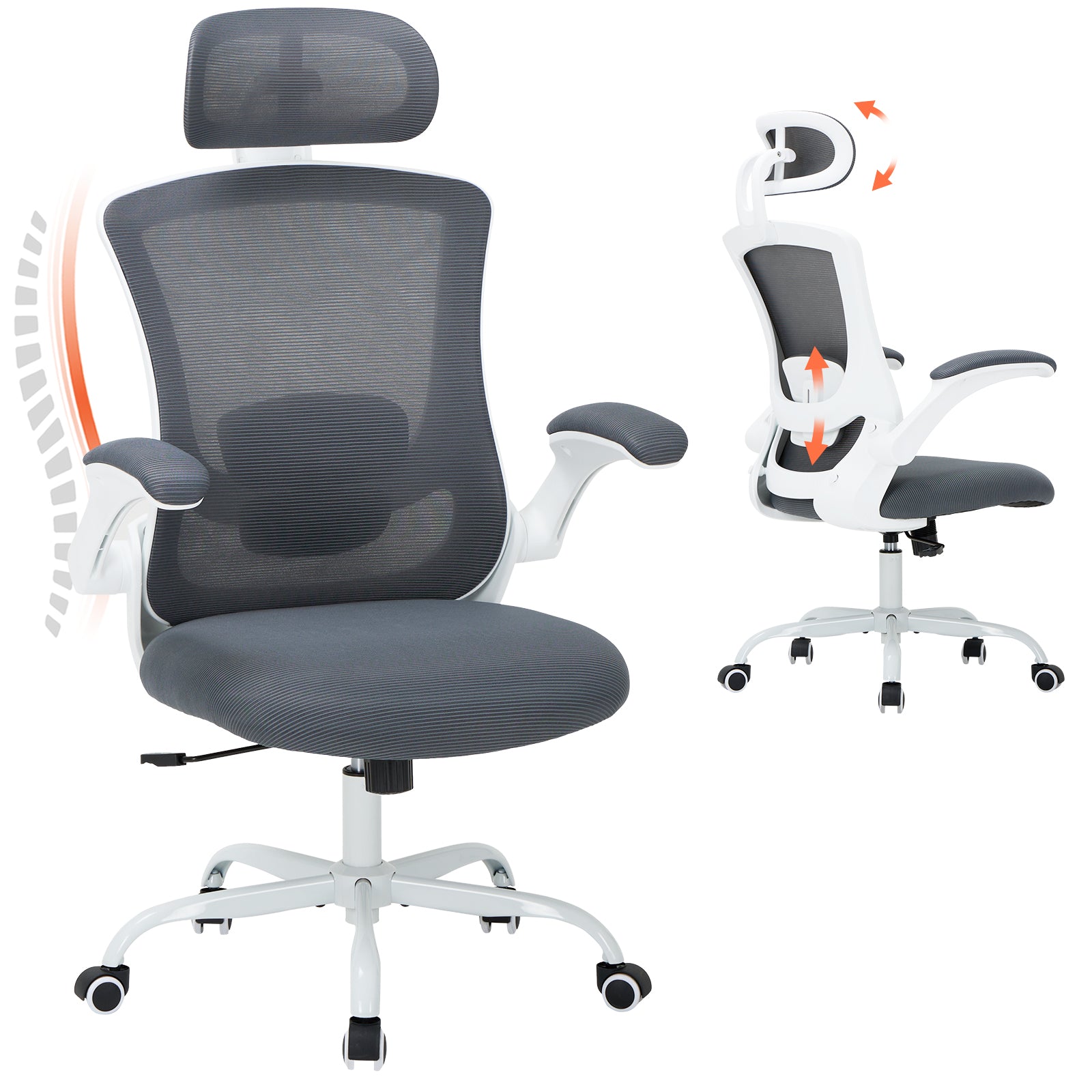COLAMY Ergonomic Mesh Office Chair with Lumbar Support Model.9050 Cap.125kg