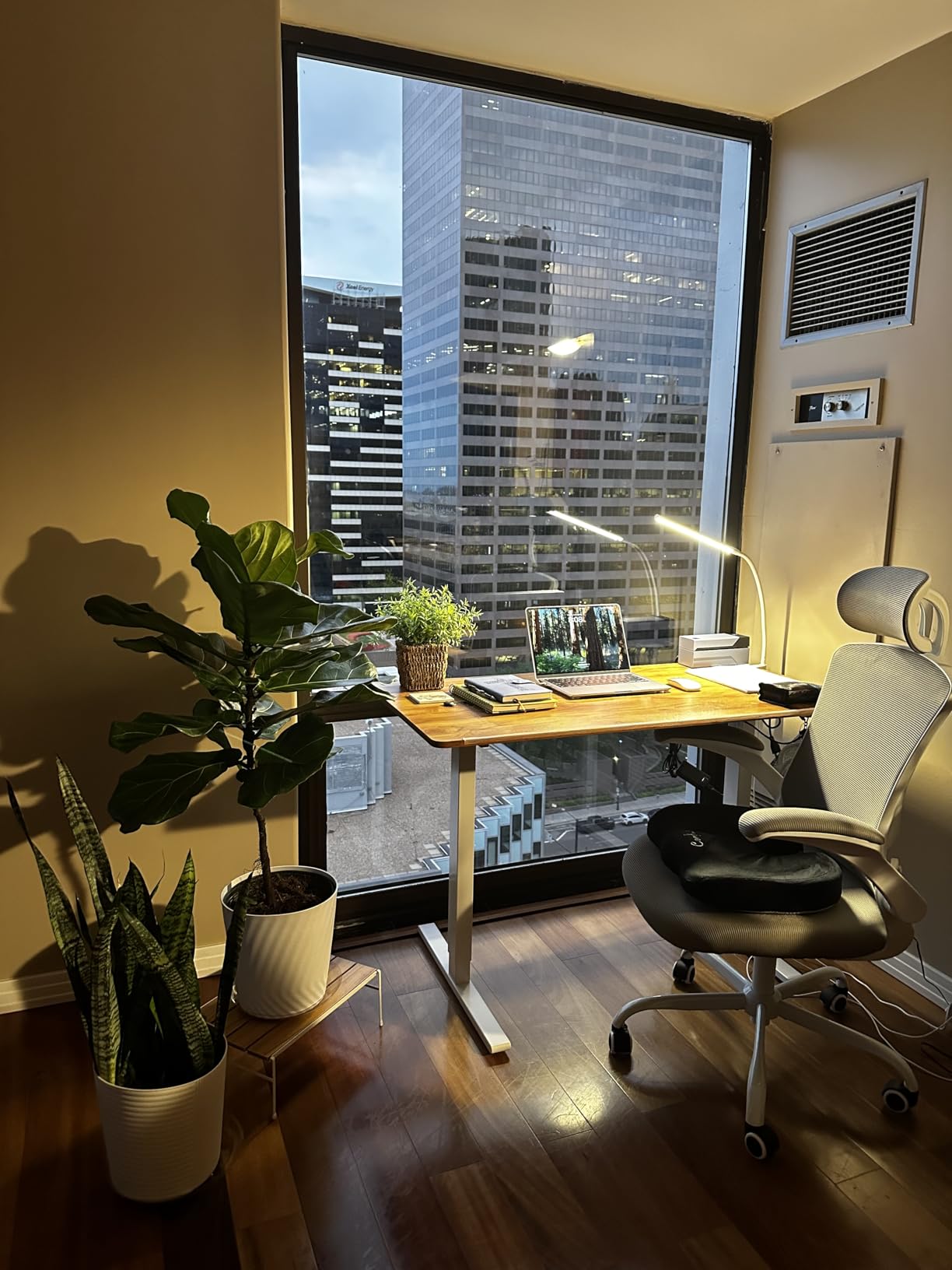 COLAMY Ergonomic Mesh Office Chair with Lumbar Support Model.9050 Cap.125kg