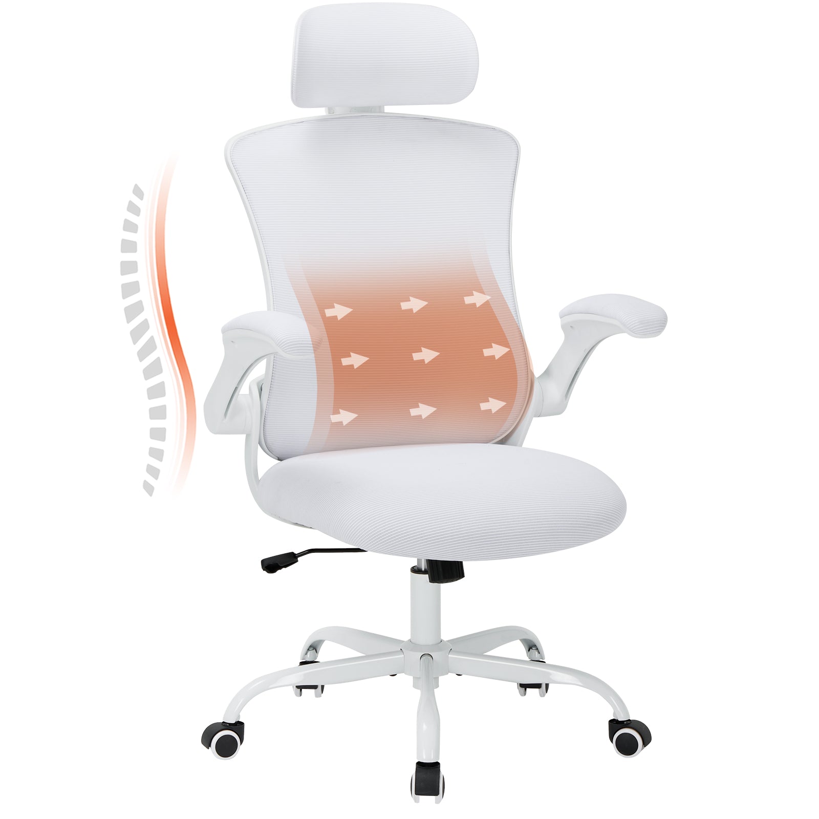 COLAMY Ergonomic Mesh Office Chair with Lumbar Support Model.9050 Cap.125kg