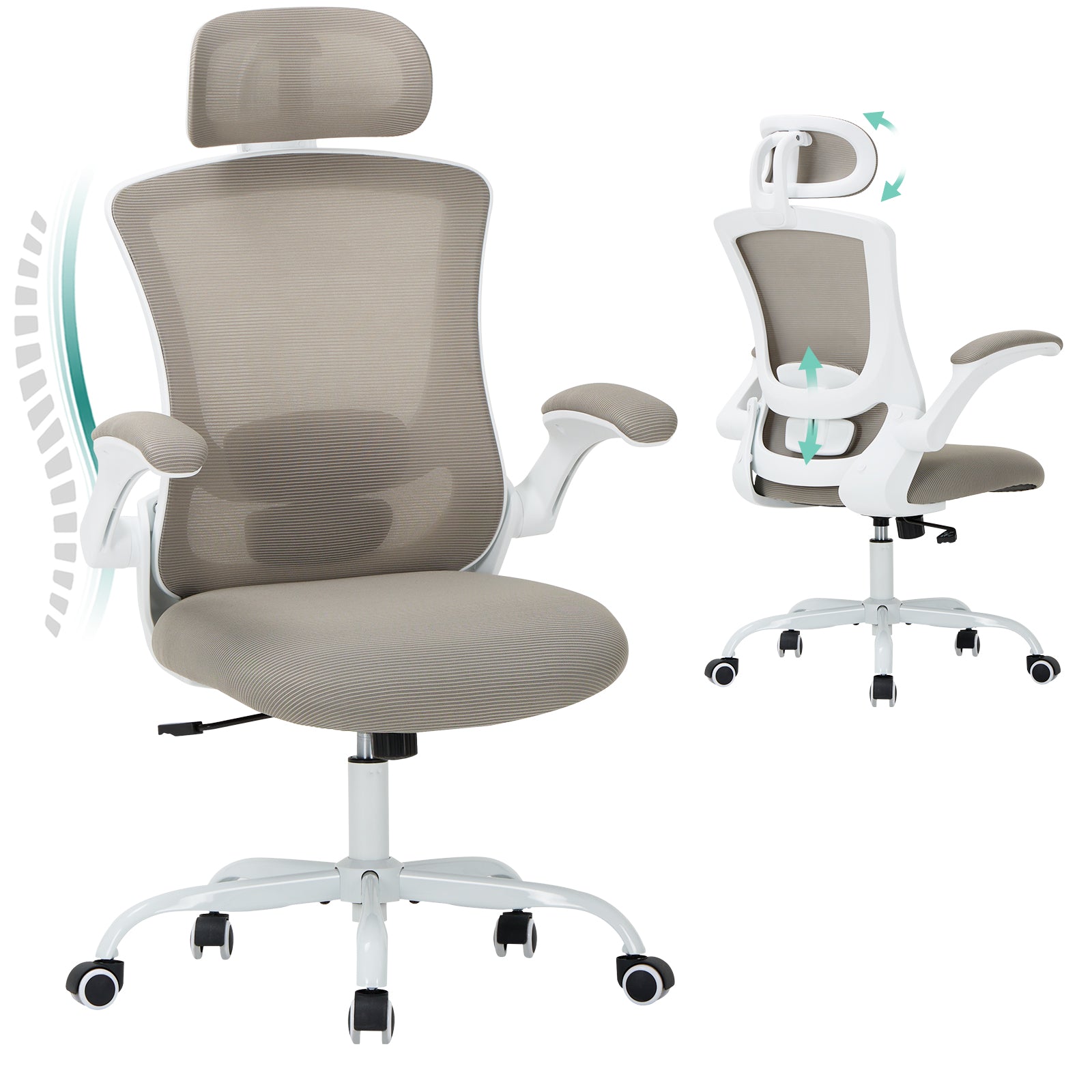 COLAMY Ergonomic Mesh Office Chair with Lumbar Support Model.9050 Cap.125kg