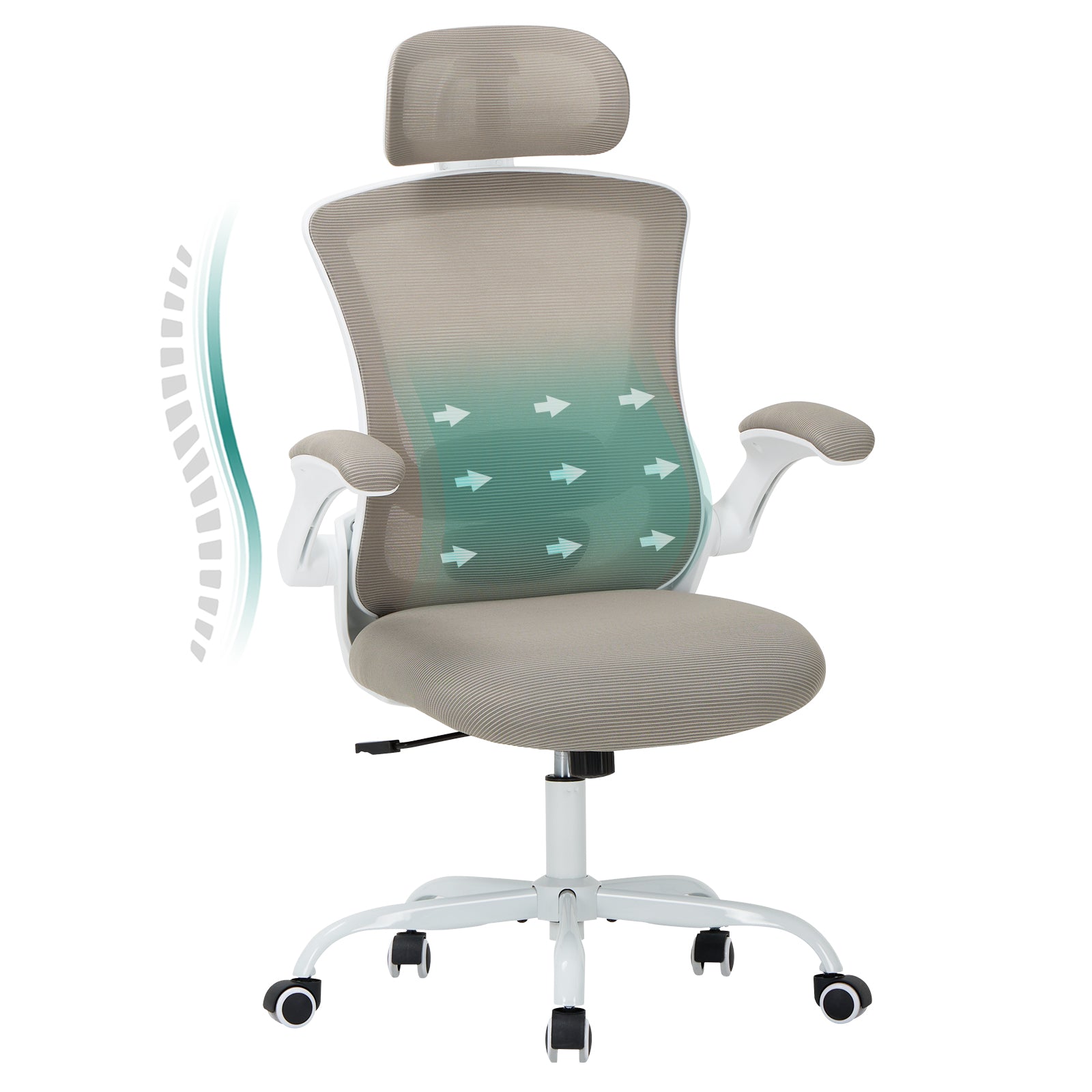COLAMY Ergonomic Mesh Office Chair with Lumbar Support Model.9050 Cap.125kg