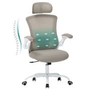 COLAMY Ergonomic Mesh Office Chair with Lumbar Support Model.9050 Cap.125kg
